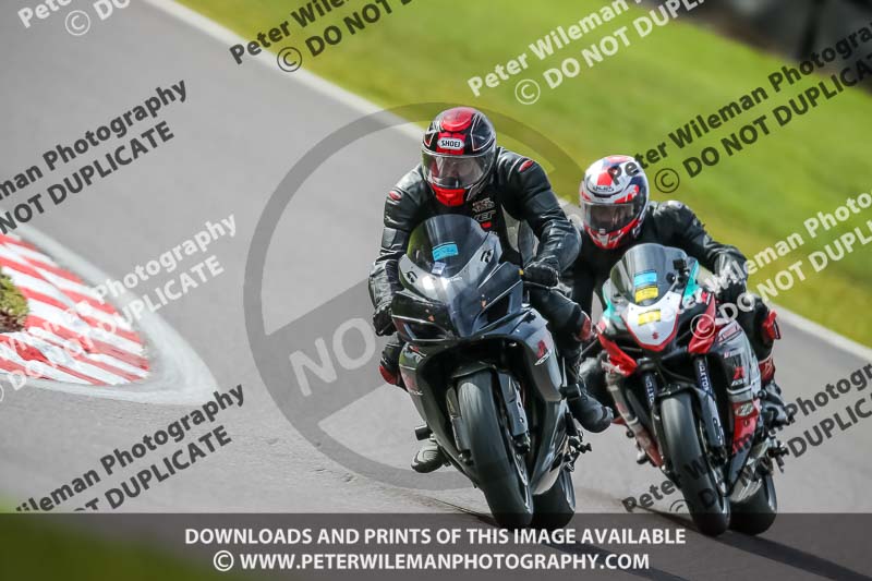 Oulton Park 21st March 2020;PJ Motorsport Photography 2020;anglesey;brands hatch;cadwell park;croft;donington park;enduro digital images;event digital images;eventdigitalimages;mallory;no limits;oulton park;peter wileman photography;racing digital images;silverstone;snetterton;trackday digital images;trackday photos;vmcc banbury run;welsh 2 day enduro